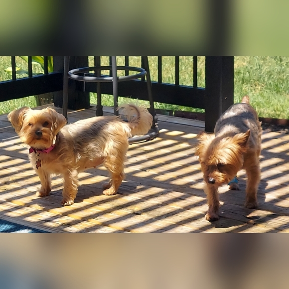 Other - 🥰😍😊😘❤️